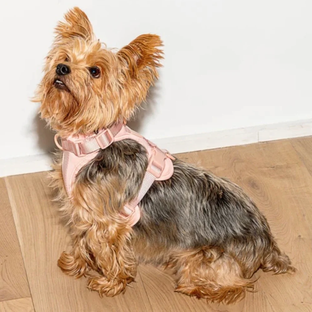 Wild One Dog Harness 3.0 - Large - Pink